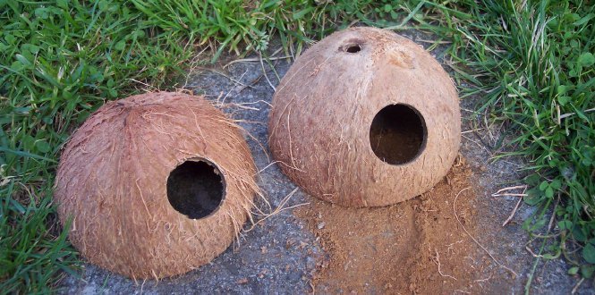 Kokosnusshöhle